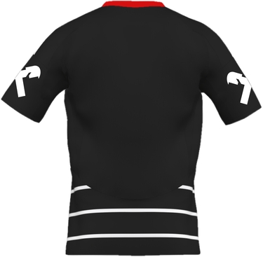Dres adidas Originals LASK Linz Striped Away Jersey 2024/25 Čierna | askip2186s, 1