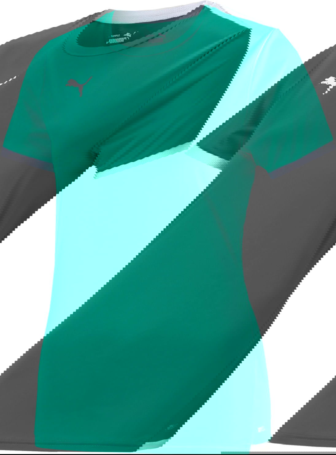 Dres Puma teamLIGA Jersey Zelené | 70493405, 0