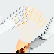 Predator Competition Goalkeeper Gloves