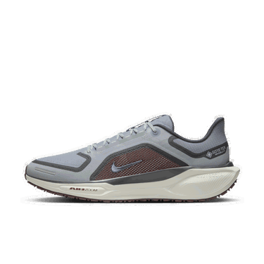 Tenisky a topánky Nike Pegasus 41 GORE-TEX Šedá | FQ1356-003, 3