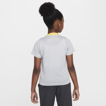 Dres Nike Liverpool FC Academy Pro Dri-FIT Short Sleeve T-Shirt Šedá | FQ2777-078, 3
