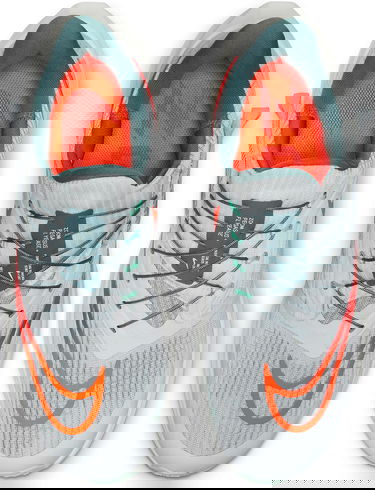 Tenisky a topánky Nike Air Zoom Pegasus 39 FlyEase Modrá | dj7382-002, 3