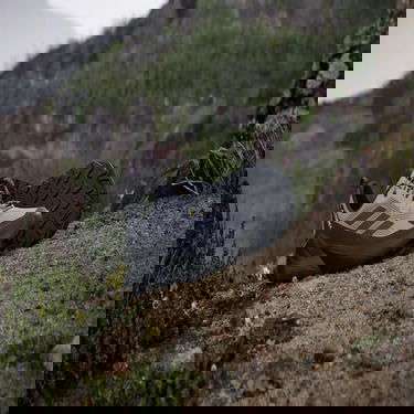 Tenisky a topánky adidas Performance Terrex Trailmaker 2.0 Gore-Tex Šedá | IH5009, 1
