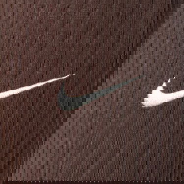 Nohavice Nike W Nsw Rib Jrsy Hnedá | DV7868-237, 1