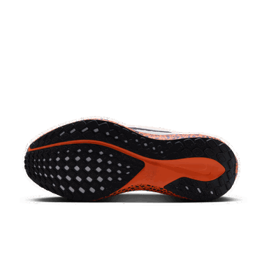 Tenisky a topánky Nike Pegasus EasyOn Electric Rôznofarebný | FZ8753-900, 2