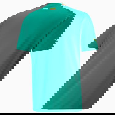 Dres Puma Senegal 22/23 Zelené | 765698_02, 7