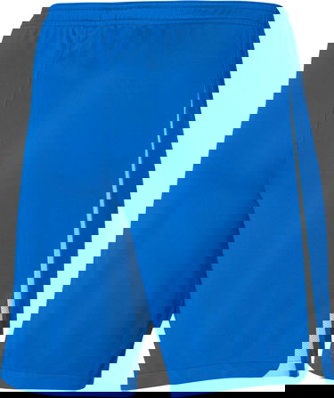 Šortky Nike Nike League III Shorts Modrá | dr0968-463, 2