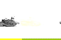 GT-2160