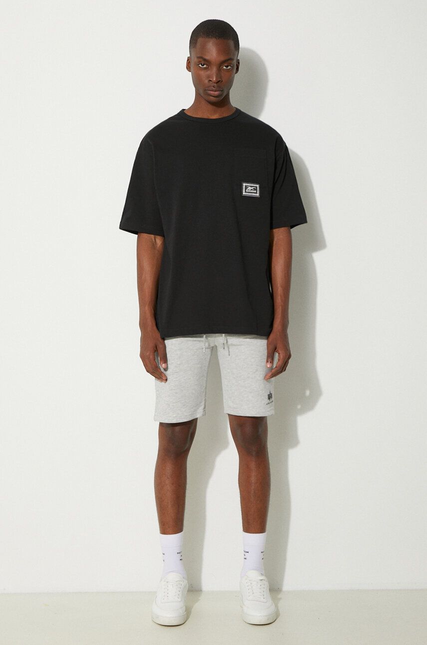 Šortky Alpha Industries Basic Shorts Šedá | 116363.17, 1