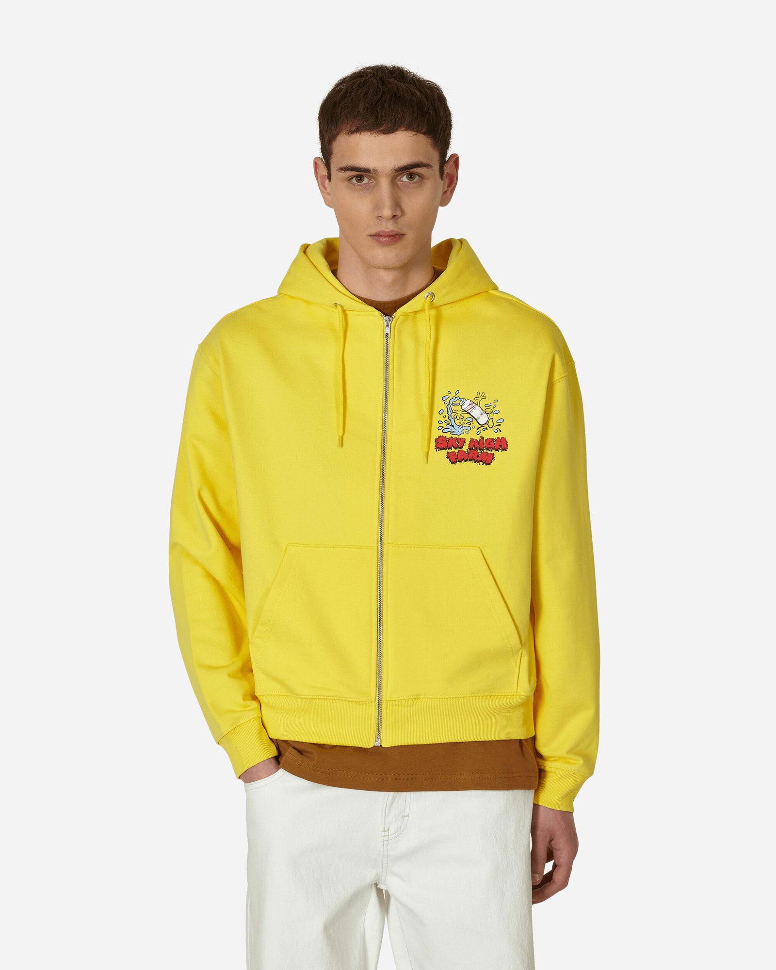 Flatbush Printed Zipped Hooded Sweatshirt