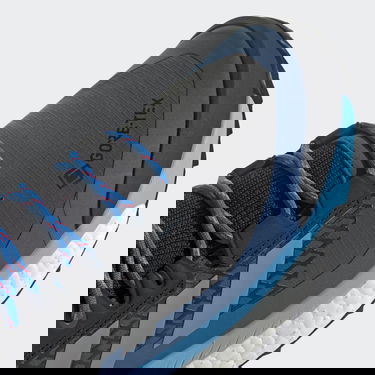 Tenisky a topánky adidas Performance Terrex Free Hiker Gore-Tex Čierna | GZ0356, 4