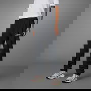 Terrex Multi Liteflex Pants