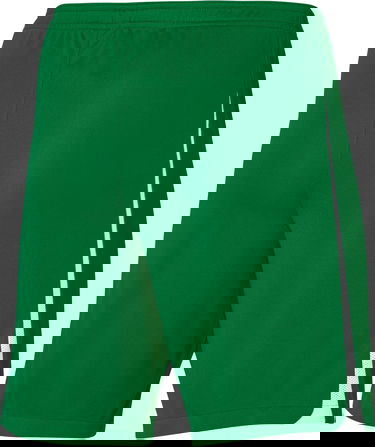 Šortky Nike Nike League III Shorts Zelené | dr0968-302, 2