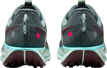 Tenisky a topánky Nike Pegasus Trail 5 Rôznofarebný | dv3864-302, 1