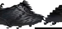 COPA GLORO II FG