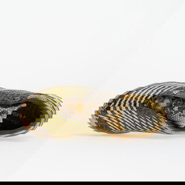 Tenisky a topánky adidas Performance Slam Jam x F50 Sala "Croc Gum" Zelené | JR2201, 3