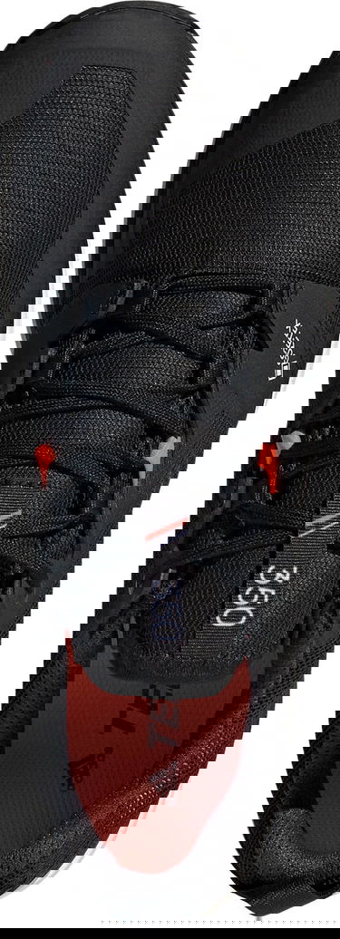 Tenisky a topánky adidas Performance Terrex Agravic GTX Čierna | eh3569, 6