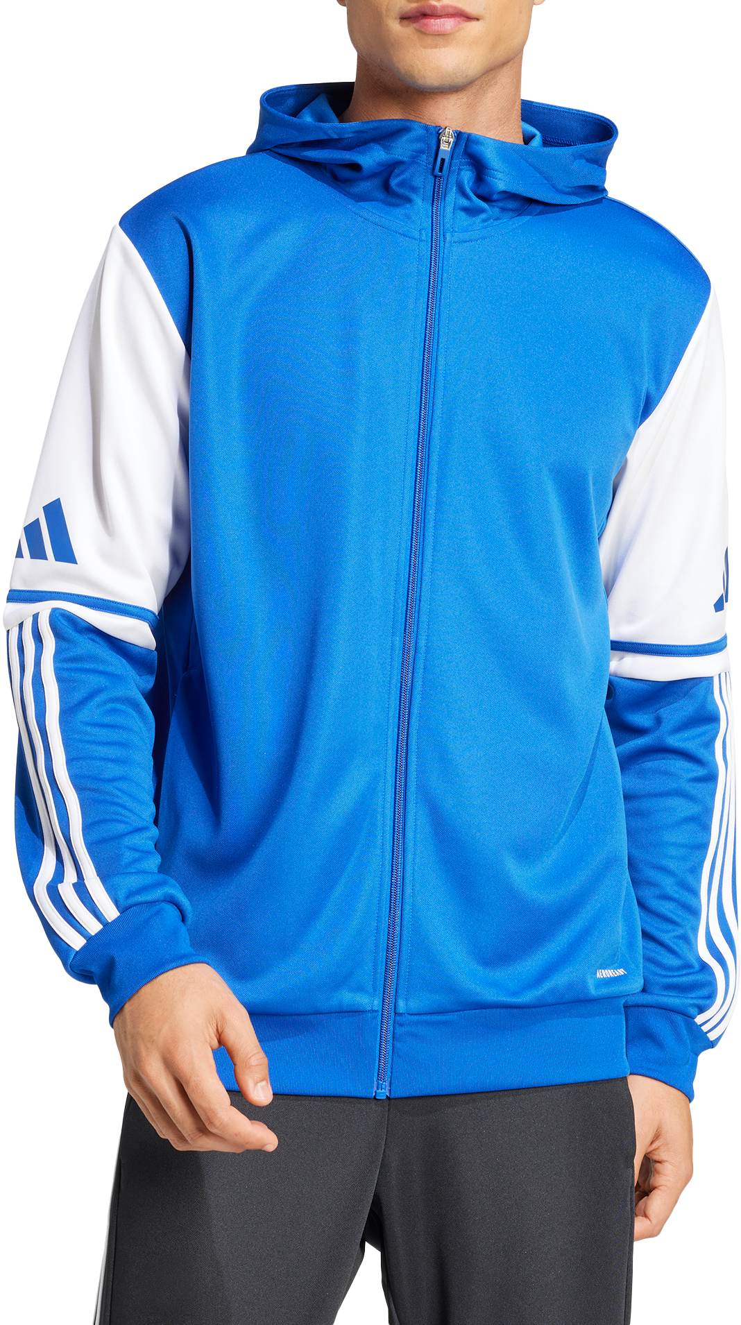 Mikina adidas Originals SQ25 Hoodie Modrá | jd2991, 0