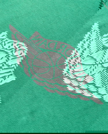 Tričko Jordan Rare Air T-Shirt Zelené | IB3130-324, 4