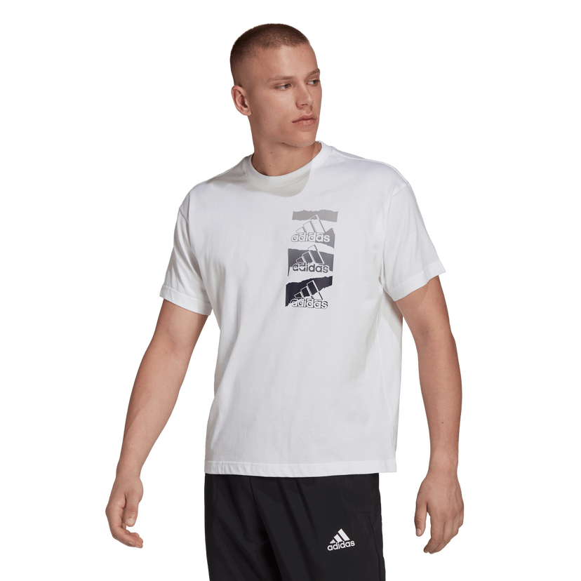 Tričko adidas Originals Men's Stacked Logo Graphic Tee Biela | HE4315