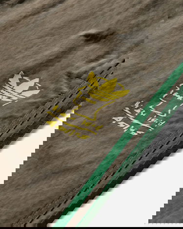 Tepláky adidas Originals BRAIN DEAD Track Pants Hnedá | JN2410, 3