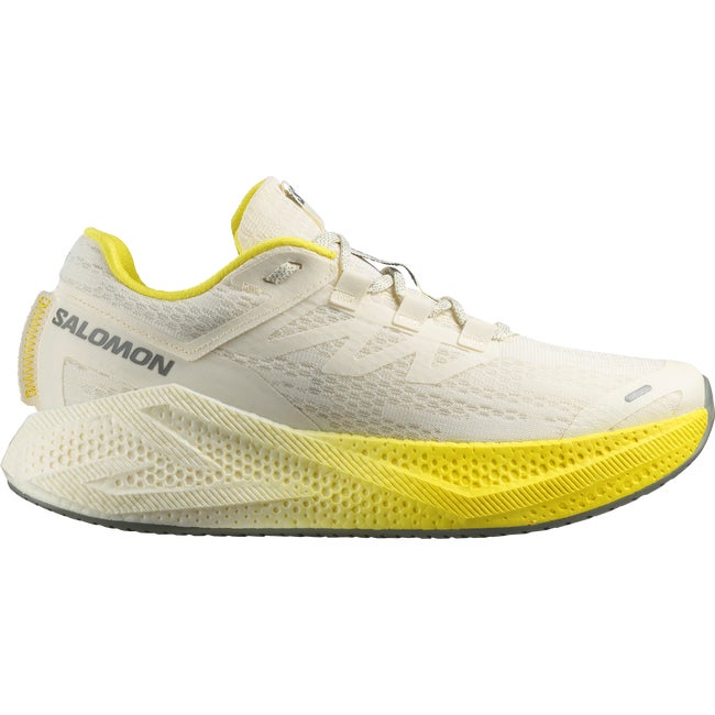 Tenisky a topánky Salomon Aero Glide 3 Rôznofarebný | L47975900