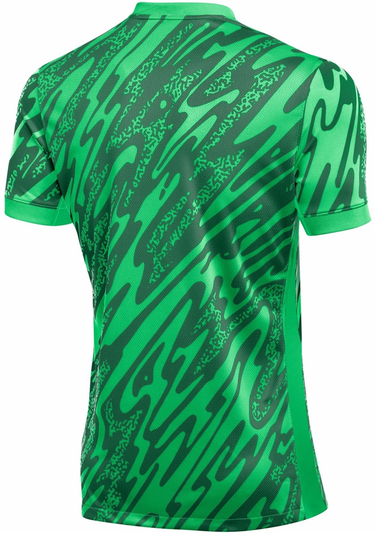 Dres Nike Nike Gardien V GK Soccer Jersey Zelené | fd7482-329, 1