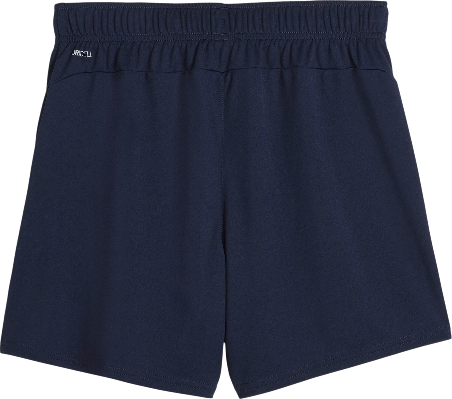 Puma teamGOAL Handball Shorts