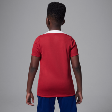 Dres Jordan Dri-FIT Strike Paris Saint-Germain Knitted Short Sleeve Soccer Jersey Červená | HJ3402-660, 3