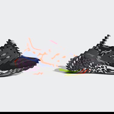 Tenisky a topánky adidas Performance RICH MNISI x UltraBOOST 22 W Rôznofarebný | GW0944, 0
