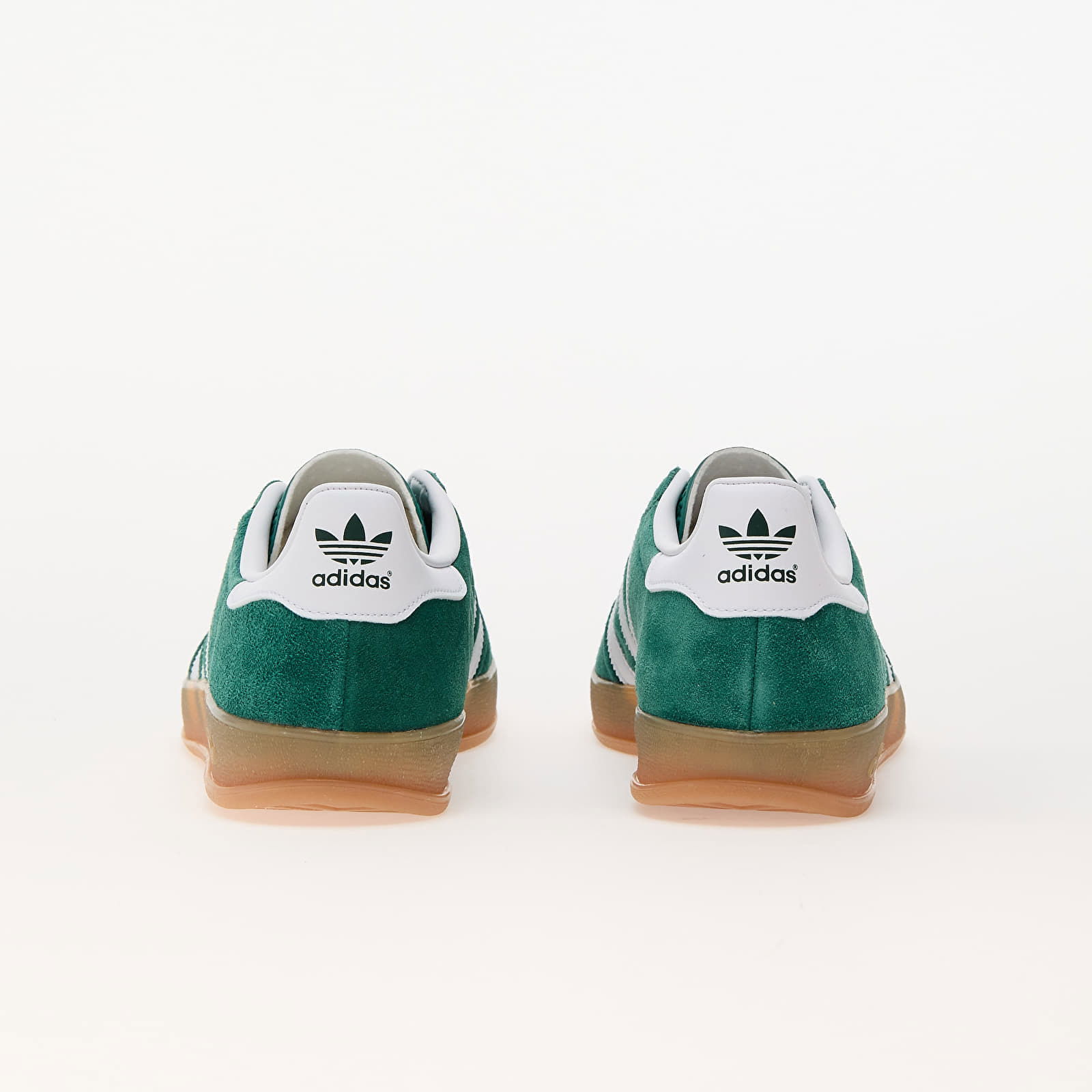Gazelle Indoor