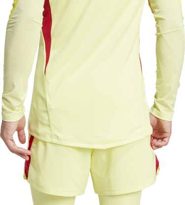 Dres adidas Originals T25 P GK Long Sleeve Jersey Žltá | jn2009, 1