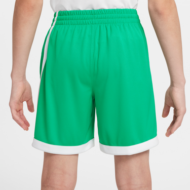 Šortky Nike Dri-FIT Multi+ Training Shorts Zelené | FV0269-324, 3