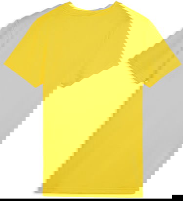 Dres Puma teamGOAL Jersey Žltá | 658638-07, 1