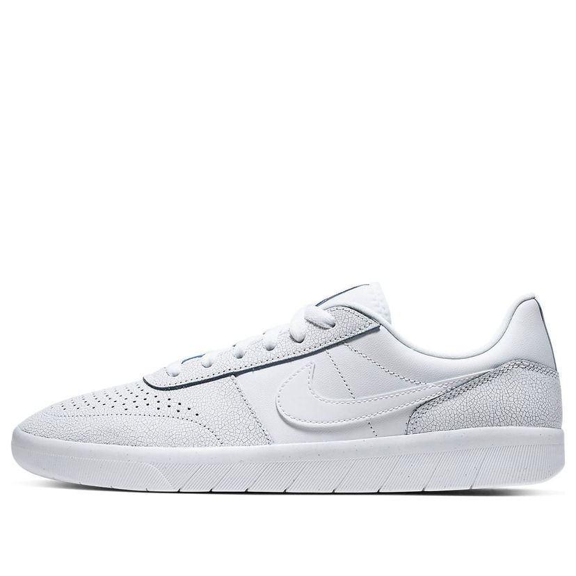 Tenisky a topánky Nike SB SB Team Classic Premium Biela | AR0767-100