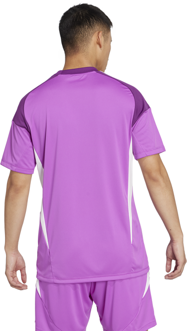 Dres adidas Originals T25 C Goalkeeper Jersey Fialová | ji9719, 7
