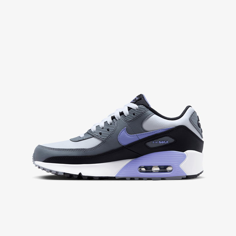 Tenisky a topánky Nike Air Max 90 LTR Fialová | DV3607-001