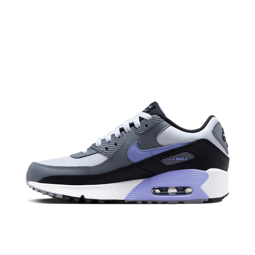 Tenisky a topánky Nike Air Max 90 LTR Fialová | DV3607-001