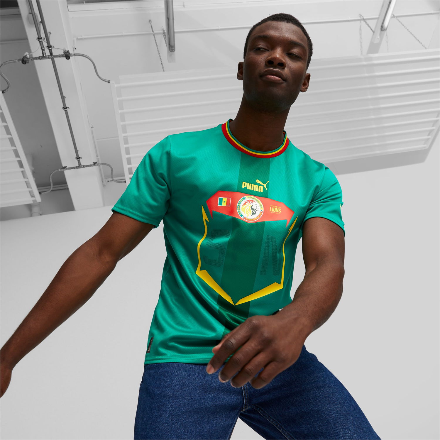 Dres Puma Senegal 22/23 Zelené | 765698_02, 1