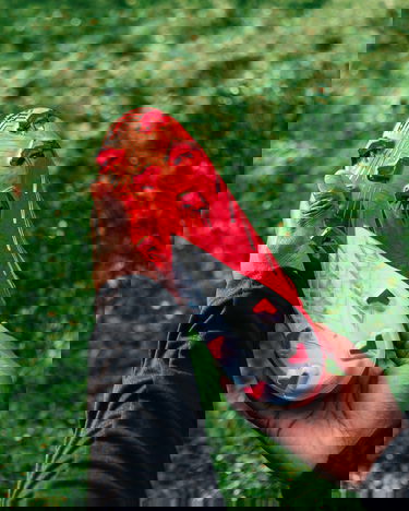 Tenisky a topánky New Balance Furon V7 Pro FG Červená | sf1f-bs1, 9