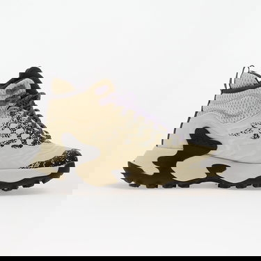 Tenisky a topánky Reebok KITARI DMX Béžová | 100227012, 2