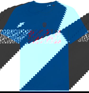 Tričko Nike NZSx11TS SLOVENIJA shirt men blue Navy | nzsnzs800-463, 0