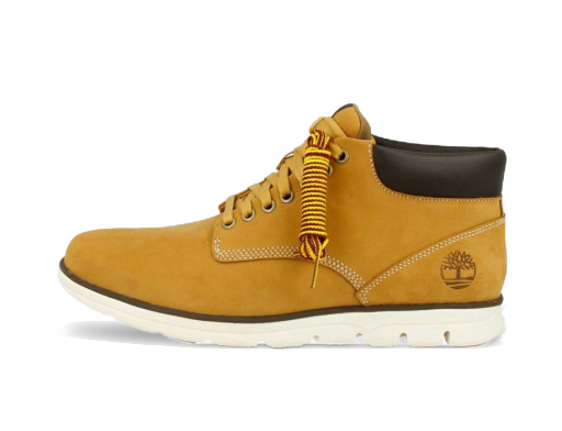 Tenisky a topánky Timberland Bradstreet Chukka Leather Hnedá | TB0A19892311