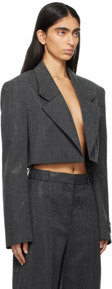 Bunda Alexander Wang Cropped Glitter Blazer Šedá | 1WC1252619, 1