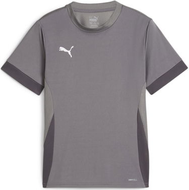 Dres Puma teamGOAL Matchday Jersey jr Šedá | 705748-13, 0