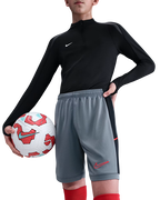 Dri-FIT Academy 25 Shorts