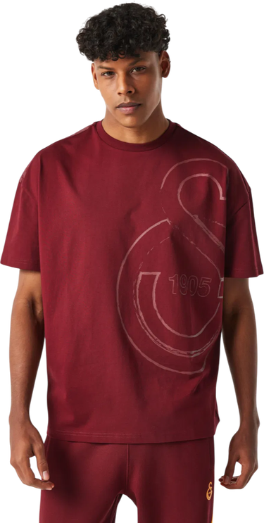 Tričko Puma Galatasaray Istanbul Graphic T-Shirt Vínová | e251058-100, 0