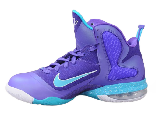 Basketball Nike LeBron 9 "Summit Lake Hornets" Fialová | 469764 500