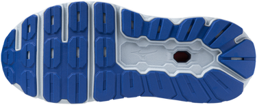 Tenisky a topánky Mizuno WAVE HORIZON 7 Modrá | j1gc2426-51, 1