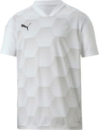 Puma teamFINAL 21 Jersey